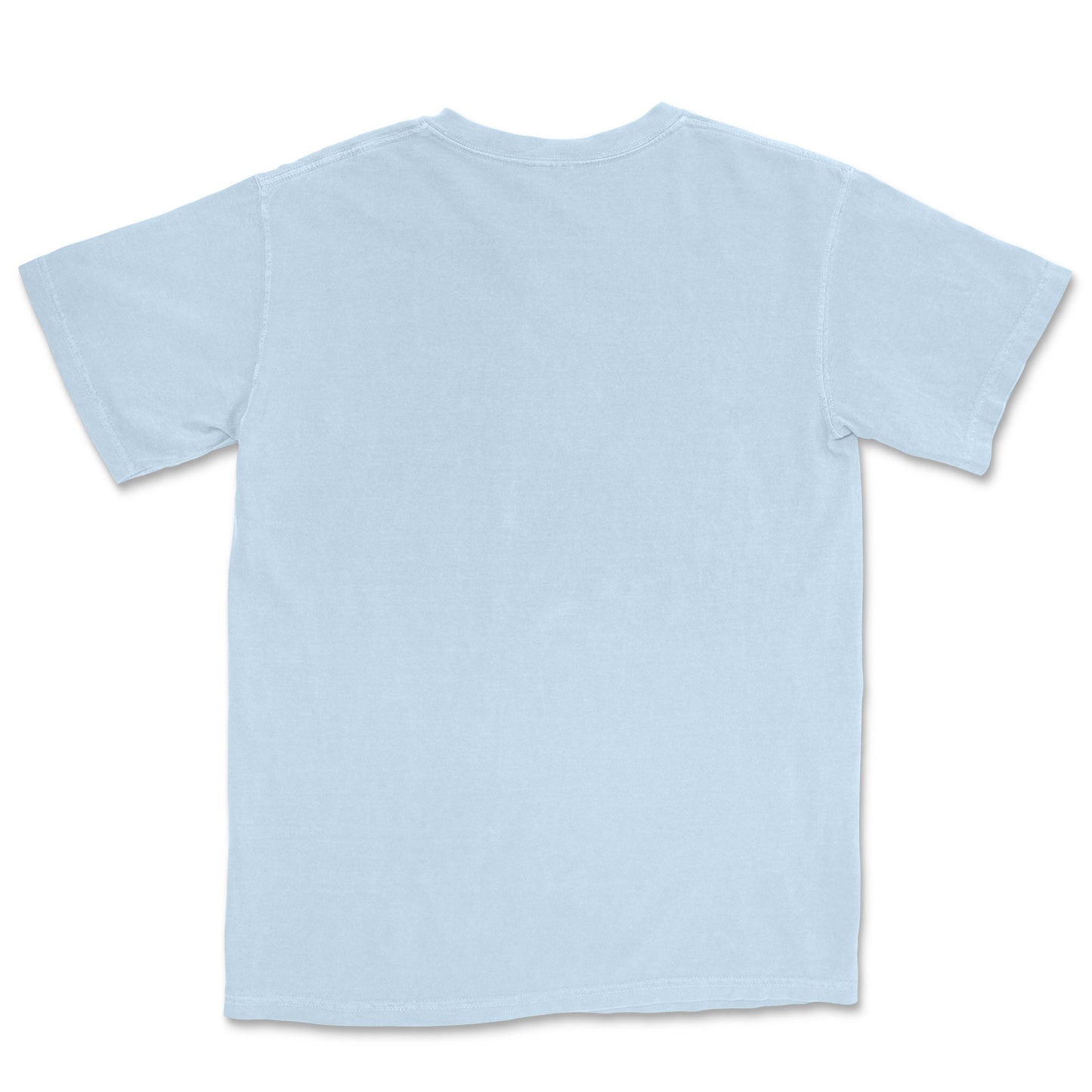 Back of a light blue round neck t-shirt