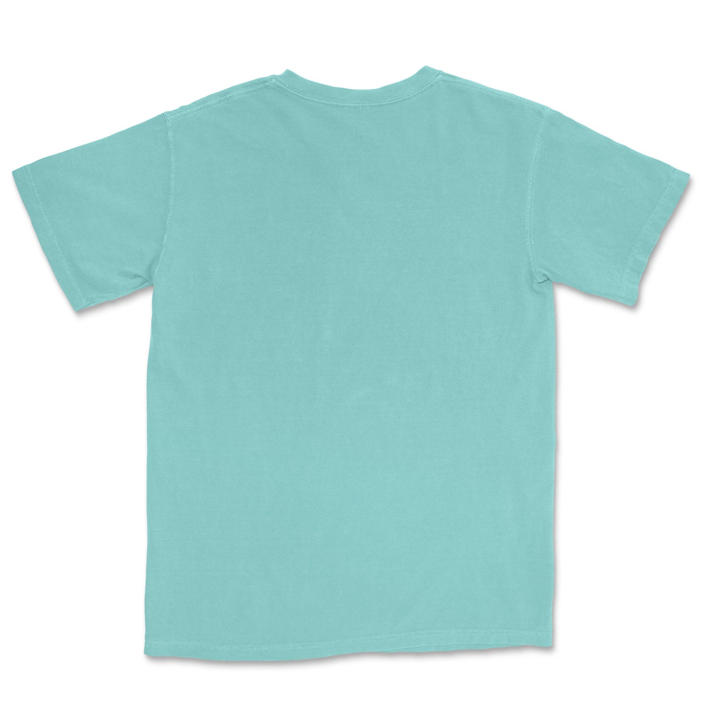 The back of a mint colored round neck t-shirt.
