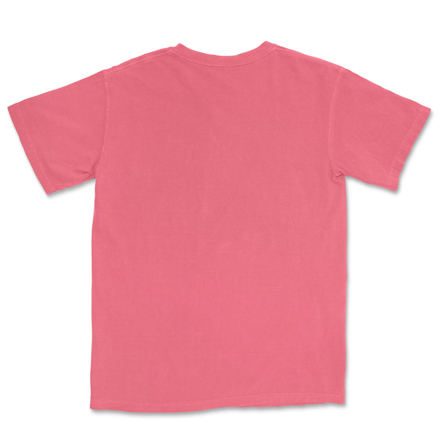 The back of a round neck Coral colored t-shirt.