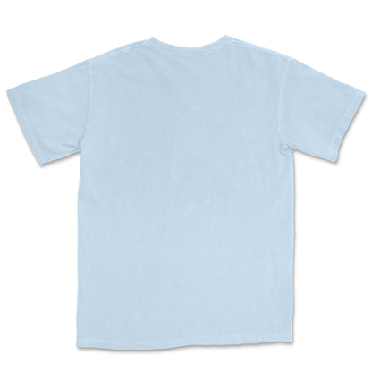 Back of a light blue round neck t-shirt 