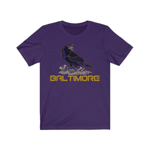 Baltimore Raven t-shirt - PSTVEBRAND
